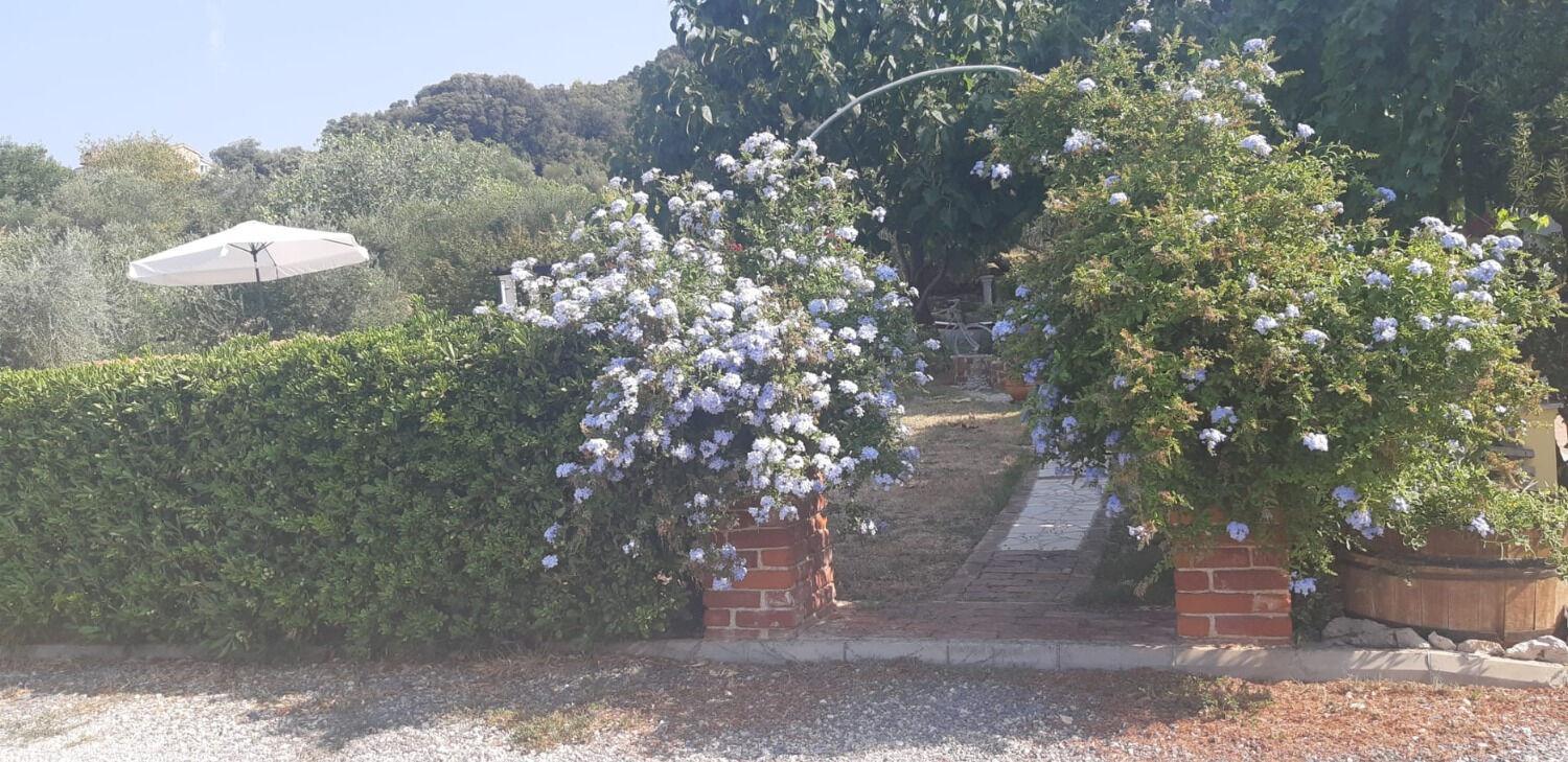 Apartments Robi- Swimming Pool And Beautiful Garden Kampor Buitenkant foto